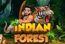 Slot Indian Forest