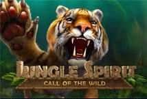 Slot Jungle Spirit Call of the Wild