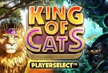Slot King of Cats