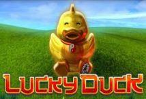 Slot Lucky Duck