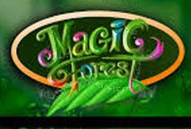 Slot Magic Forest (Caleta)