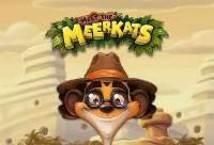 Slot Meet the Meerkats