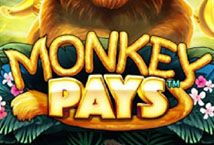 Slot Monkey Pays