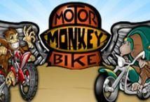 Slot Motorbike Monkey