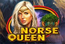 Slot Norse Queen