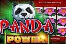 Slot Panda Power