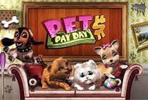 Slot Pet Payday