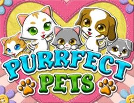 Slot Purrfect Pets