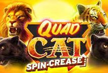 Slot Quad Cat Spin-crease