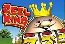 Slot Reel King