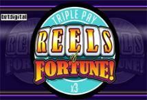Slot Reels of Fortune Triple Pay
