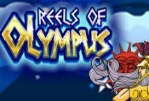 Slot Reels of Olympus