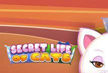 Slot Secret Life of Cats