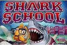 Slot Shark School