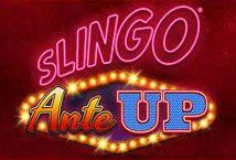 Slot Slingo Ante Up