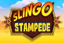 Slot Slingo Stampede
