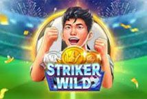 Slot Striker Wild