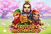 Slot Taoyun Brotherhood