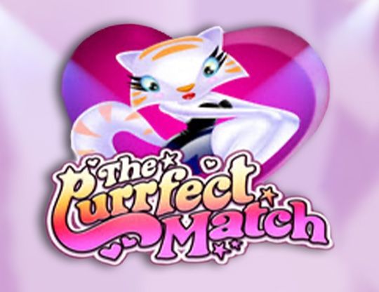 Slot The Purrfect Match