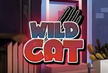 Slot The Wild Cat
