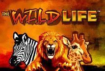 Slot The Wild Life