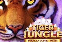 Slot Tiger Jungle Hold and Win