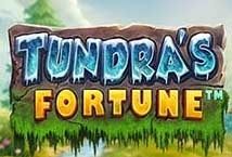 Slot Tundra’s Fortune