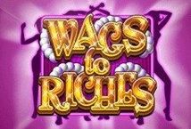 Slot Wags to Riches