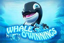 Slot Whale O Winnings