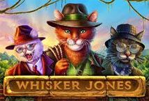 Slot Whisker Jones