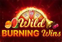 Slot Wild Burning Wins