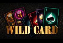 Slot Wild Card