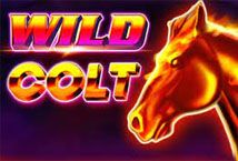 Slot Wild Colt
