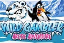Slot Wild Gambler Arctic Adventure