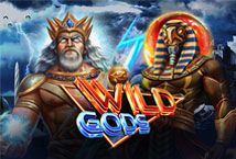 Slot Wild Gods (Leap Gaming)