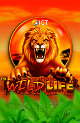 Slot Wild Life