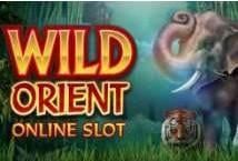 Slot Wild Orient