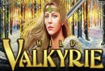 Slot Wild Valkyrie