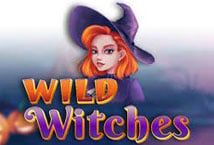 Slot Wild Witches (Amatic Industries)