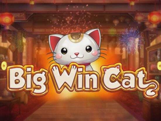 Screenshot Big Win Cat 1 