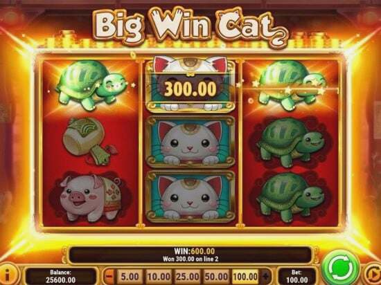 Screenshot Big Win Cat 4 