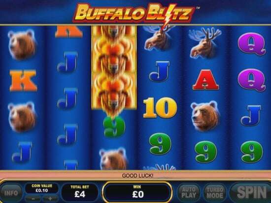Screenshot Buffalo Blitz 6 