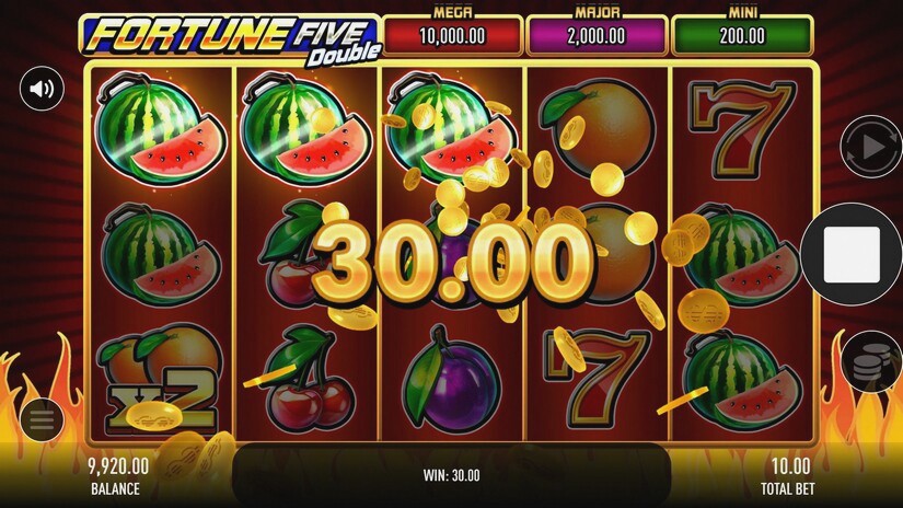 Screenshot Fortune Five Double 3 