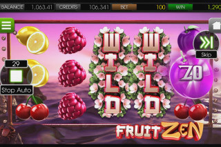 Screenshot Fruit Zen 3 