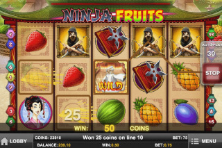 Screenshot Ninja Fruits 1 