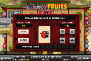 Screenshot Ninja Fruits 4 