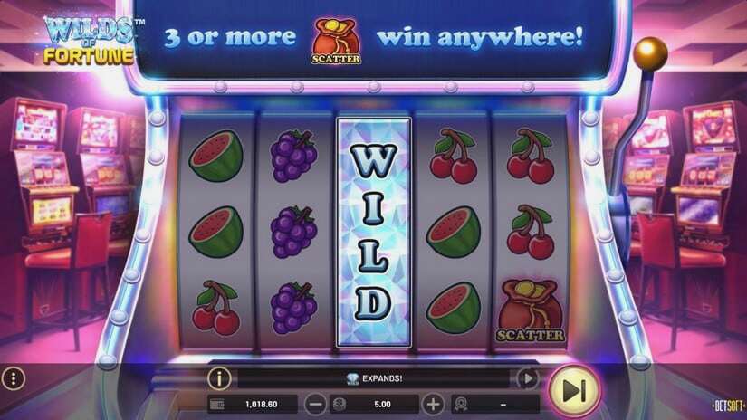 Screenshot Wilds Of Fortune 4 